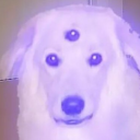 2literdogexplosion avatar
