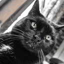 2ndtimesacharm avatar