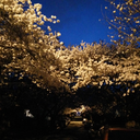 2sad-2function avatar