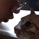 2tiredtoplanamurd3r avatar