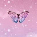 3-butterfly-4678 avatar