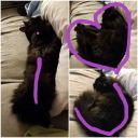 3-turns-should-do-it avatar