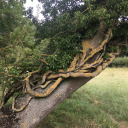 30ftgirlfriend avatar