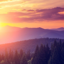 365-thoughts-at-midnight avatar