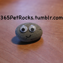 365petrocks avatar