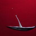 365project365 avatar