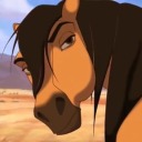 37-angry-bees avatar