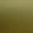 3737292764738282746382873647 avatar