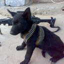 3847263834-blog avatar