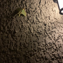 385774920103847 avatar