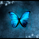 39butterflies avatar