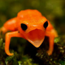 3am-dumbassery avatar