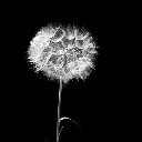 3v3rything-gr3y avatar