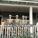 3vanrosierishighonlife avatar