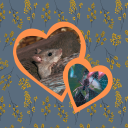 404-nothing-to-see-here avatar