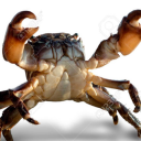 42-crabs-in-a-trenchcoat avatar