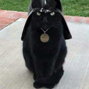 4352249047-blog avatar