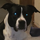 45-suspiciously-small-mangos avatar