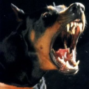 465horsepower avatar