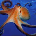 49octopi avatar