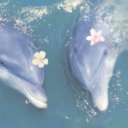 4ddi3addie2005 avatar