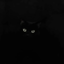 4rt3m15and4p0ll0 avatar