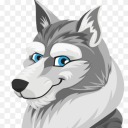 501-wolf avatar