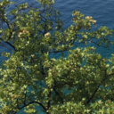 5minutesofheaven avatar