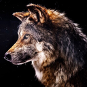 5piritualgangster avatar