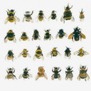 5secondsofgoodbyemysociallife avatar