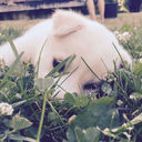 5secondsofrory avatar