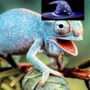 5wizardlizards avatar