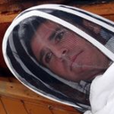 60thousandbees avatar