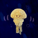 666jellyfish avatar