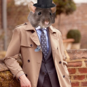 6rats1coat avatar