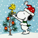 6rookie-writer0110 avatar