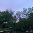 735184057251749592615 avatar