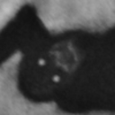 76758674563-blog avatar