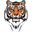 77tiger77 avatar