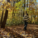 8-silly-geese avatar