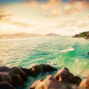 85percentcocoa avatar