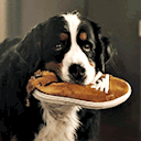 911lscompleterewatch avatar