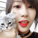 91yujeong avatar