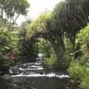 a-beautynthe-struggle avatar