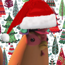 a-big-chicken-nerd avatar