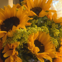 a-bouquet-of-sunflowers avatar