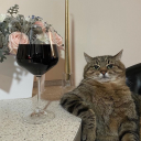 a-candle-in-the-wind avatar