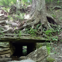 a-child-of-epona avatar