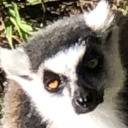 a-class-attempter avatar