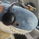 a-confused-firefly avatar